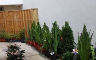 Vanzare apartament 3 camere stradal plus terasa, curte - Poză 5