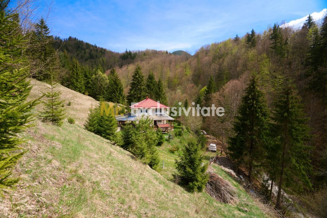 Casa de vacanta sau pensiune in Dâmbovicioara 5 camere, 5 bai, 6412 mp teren - Poză 2