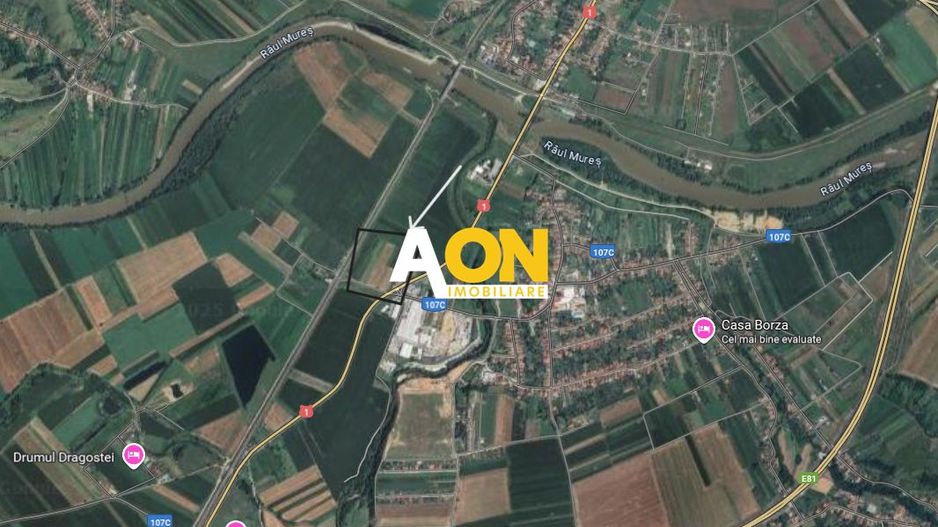 Teren Intravilan-Industrial, 20.000mp, Zona Oarda de Jos - Poză 2