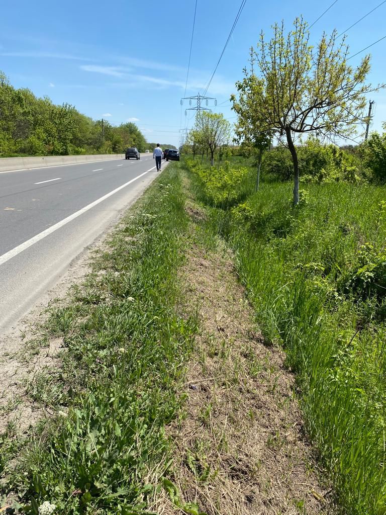 Teren la DN7 - ideal investitie (Benzinarie, spalatorie, hala) - Poză 2