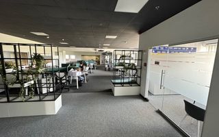 Hala de productie in Calea Sagului - Poză 28