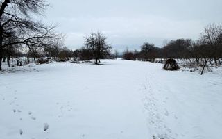 Casă cu teren generos în Buciumi - Poză 8