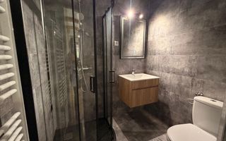 Casă de vacanță noua-Valea Avrigului - Poză 16