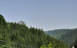 Pensiune in Muntii Apuseni 10 camere 1007 mp teren - Poză 16