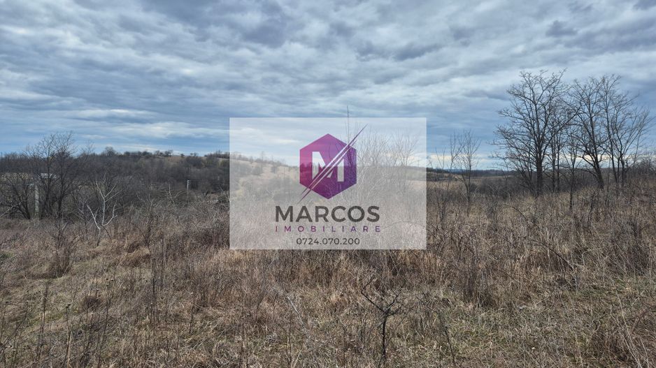 Vand 2 parcele de 5700 mp zona Iabalcea - Poză 5