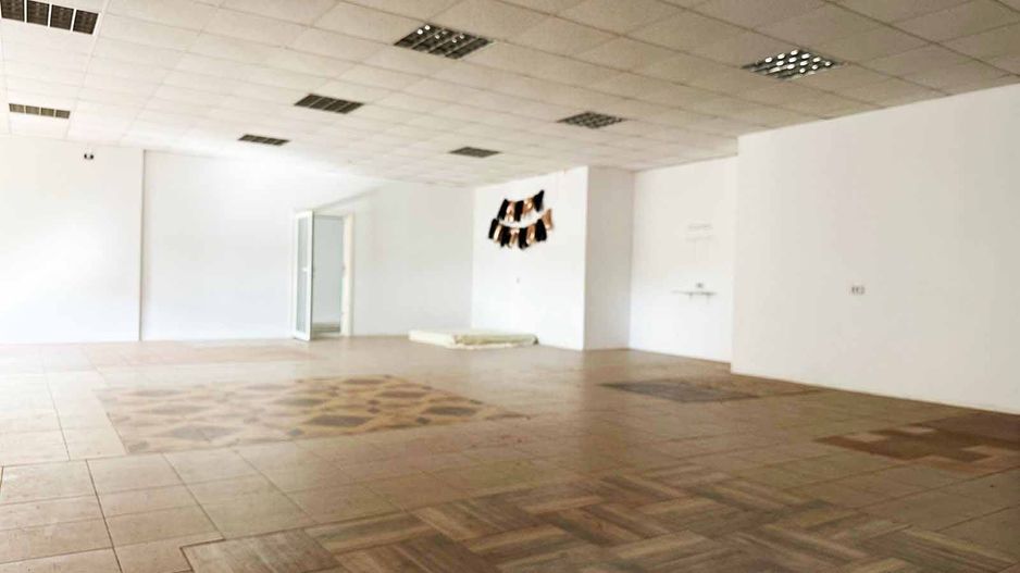 Hala industriala de inchiriat – Arad, Strada Padurii - Poză 7