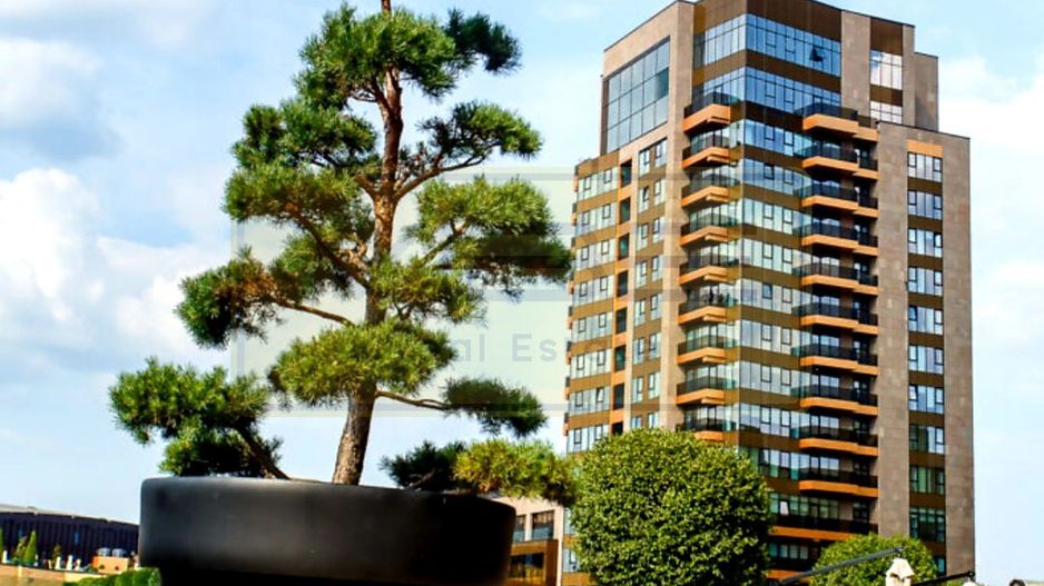 Apartament 2 camere  Palas Mall Sf Lazar - Poză 35