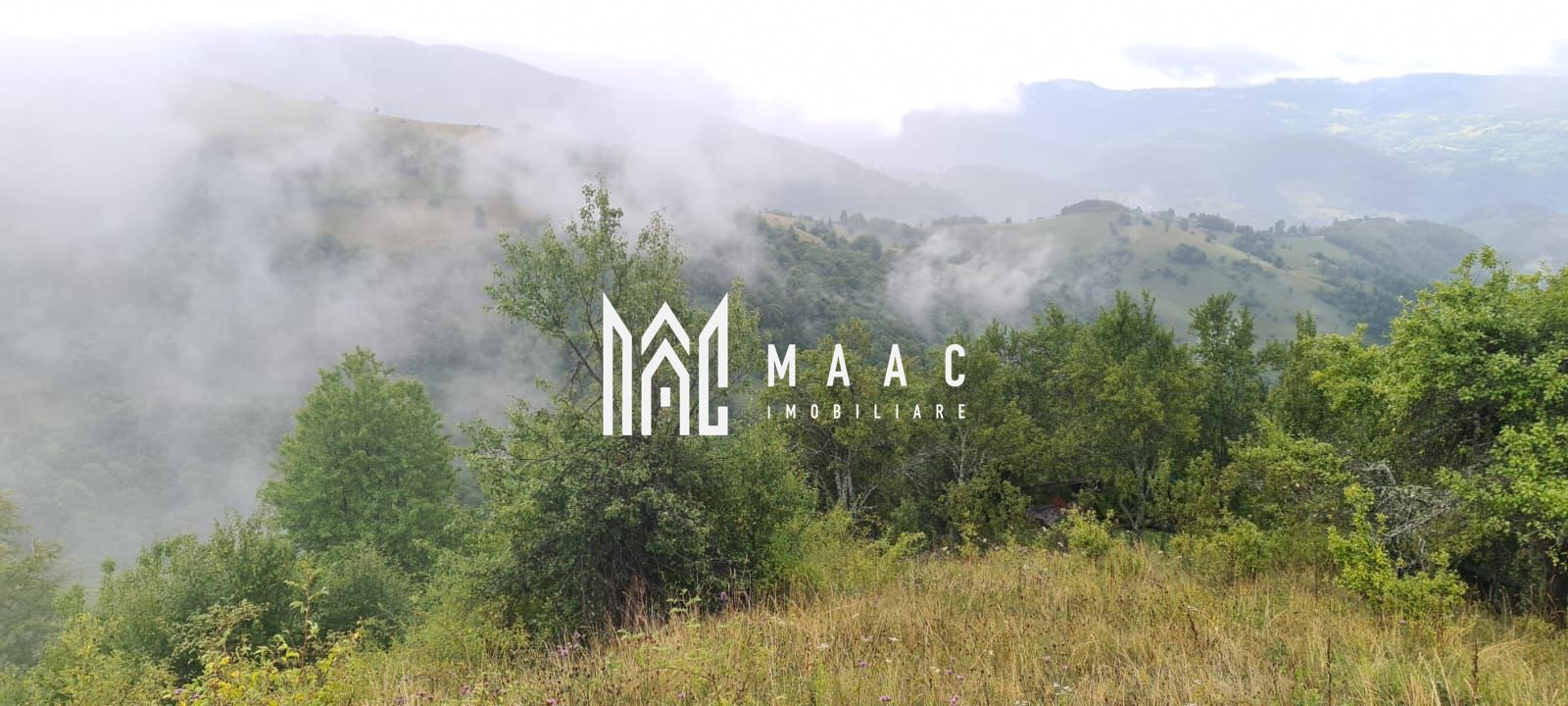 Super ofertă 35000 teren in Muntii Apuseni - Poză 17