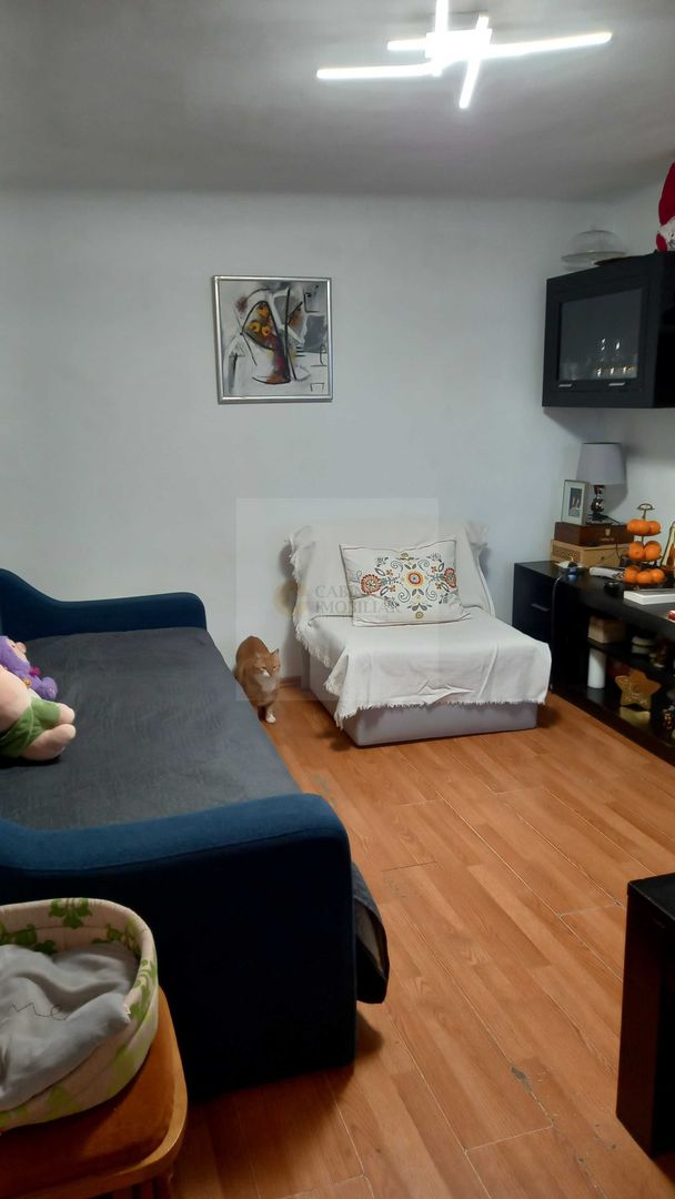 Casă cu Teren de Vânzare – Locație Excelentă în Domenii, Sector 1 - Poză 3