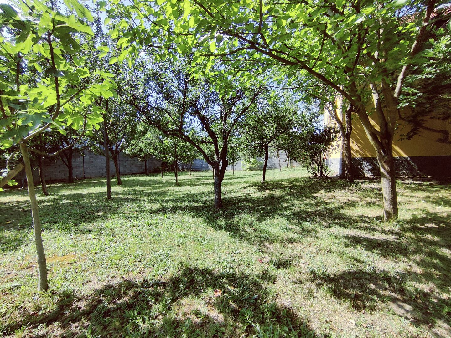 CASA INDIVIDUALA GHIRODA +TEREN 1752 MP - Poză 42