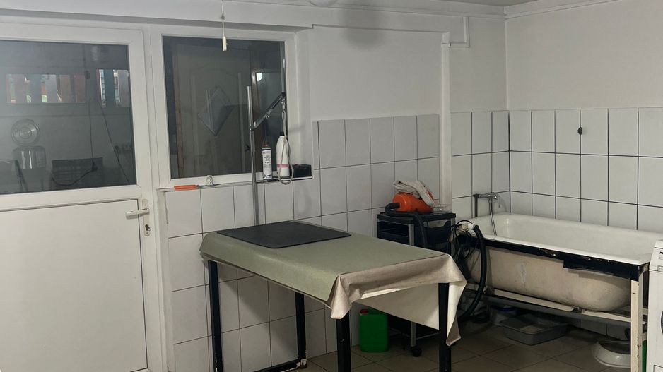 Imobil multifuncțional, 450 mp utili, teren 640 mp, Torontalului - Poză 3