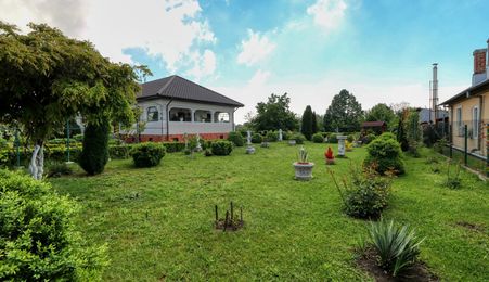 Oportunitate - Casă boierească  de poveste- 7000 mp teren