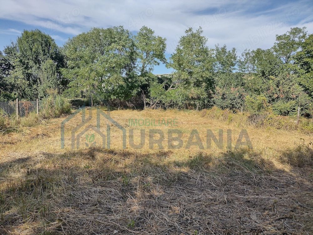Teren intravilan 482 mp în Chicerea, comuna Tomești, ideal pentru construcție casă - Poză 2