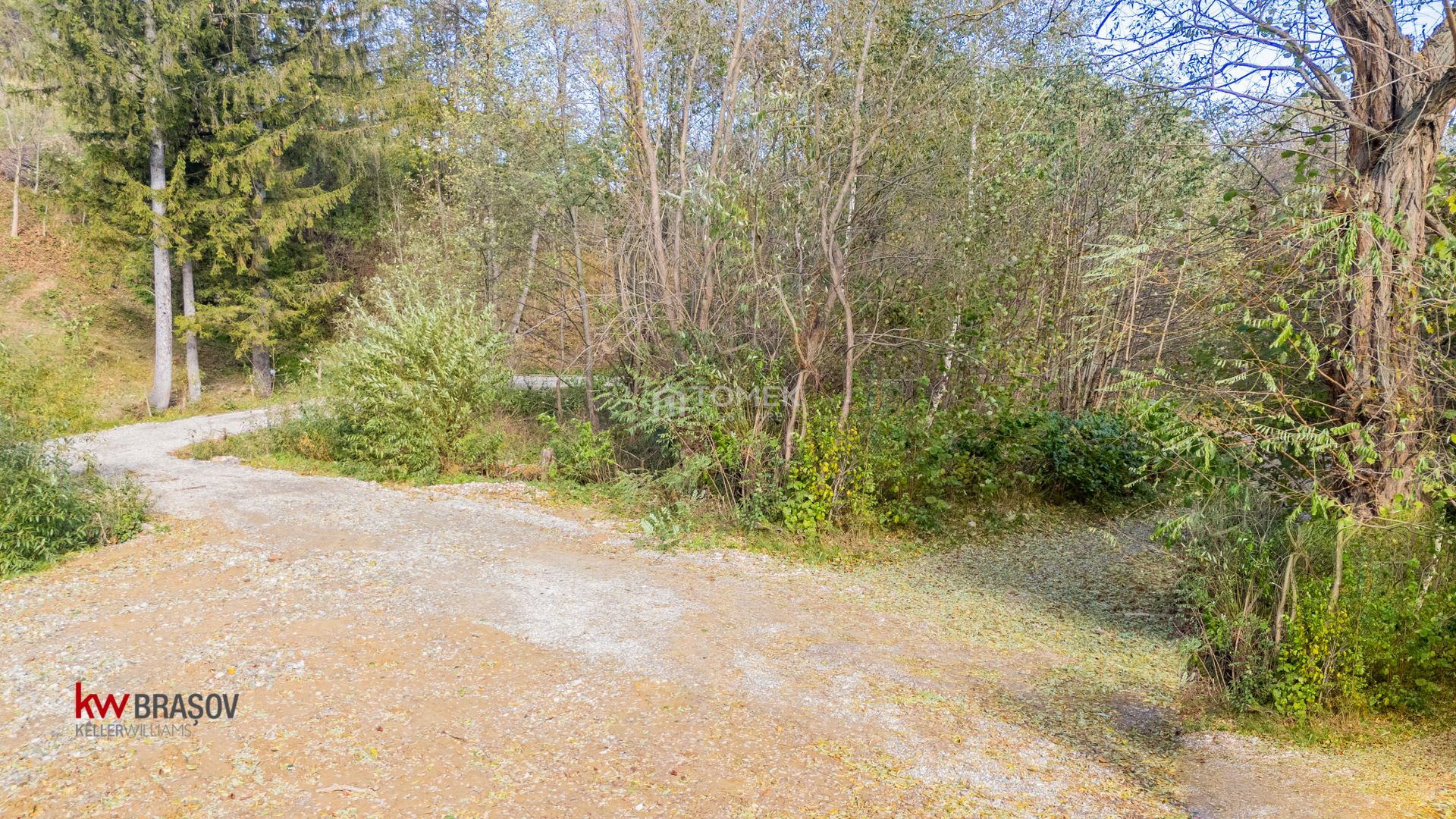 Teren intravilan în Zărnești, zona Tohanita, cu pădurice și parau curg - Poză 16