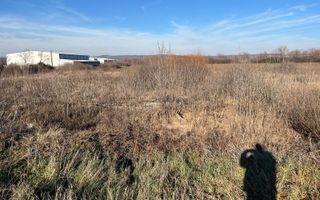 Teren intravilan, Săcădat, 27 921 mp. 9,5 Euro/mp. Comision 0. - Poză 6