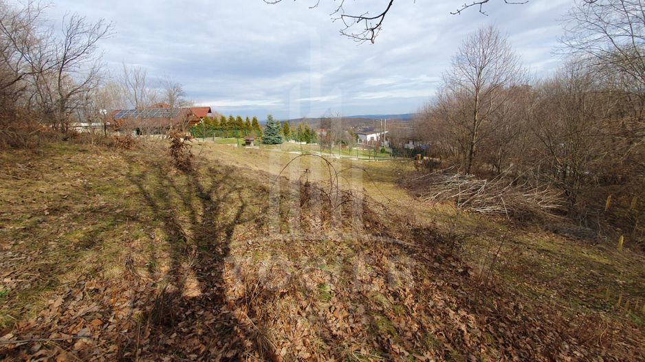 Teren Intravilan 2.938 mp | Tocile - Poză 1