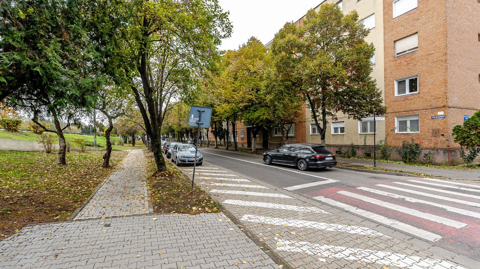Rezervat 3 camere, etaj 1, vedere spre Mureș strada Praporgescu - Poză 1