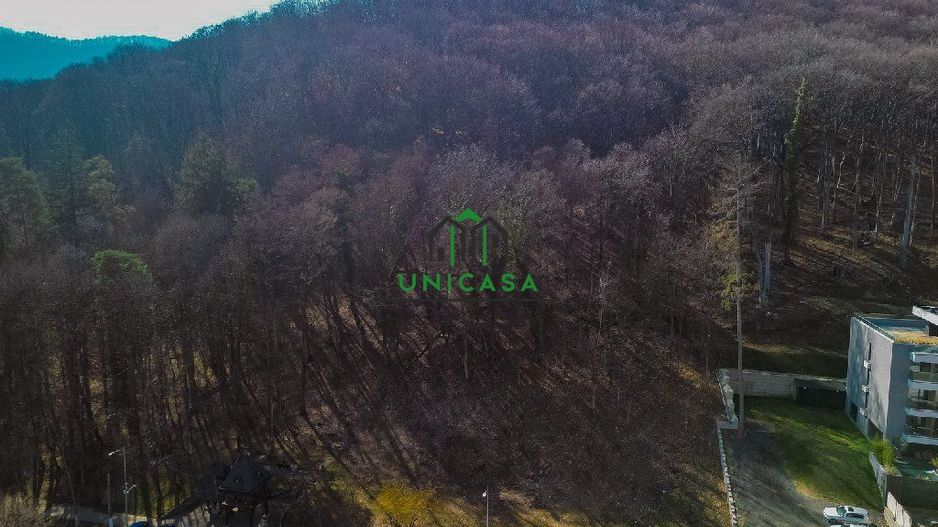 Teren - Caciulata - Deschidere la E81 - Poză 2