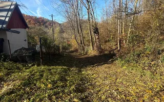 Teren langa pădure 6400mp+casa demolabila-deschidere 35 ml - Poză 18