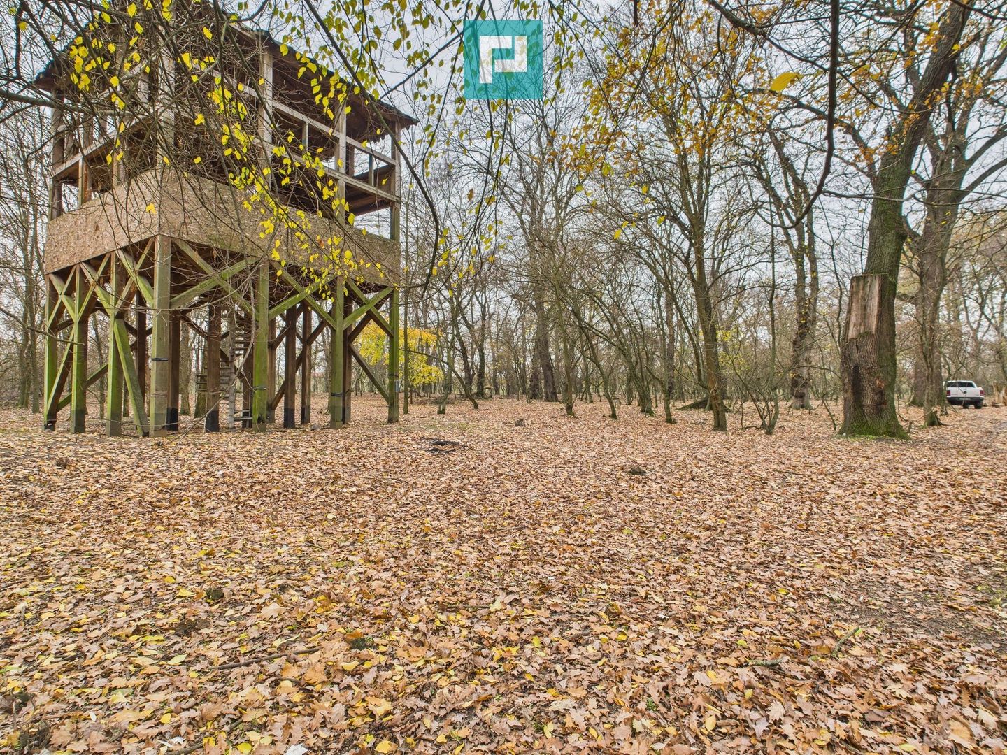 Teren spectaculos la  Periam Port - Poză 16