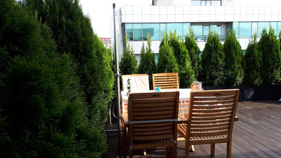 Penthouse 4 camere 128 m² | Terasă proprie ~80 m² | Zona Domenii - Poză 4