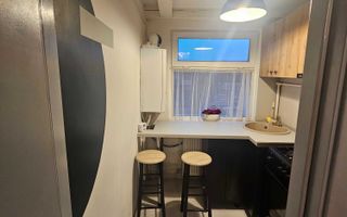 Apartament 1 camera + mezanin in vila zona FSEGA / Iulius Mall - Poză 6