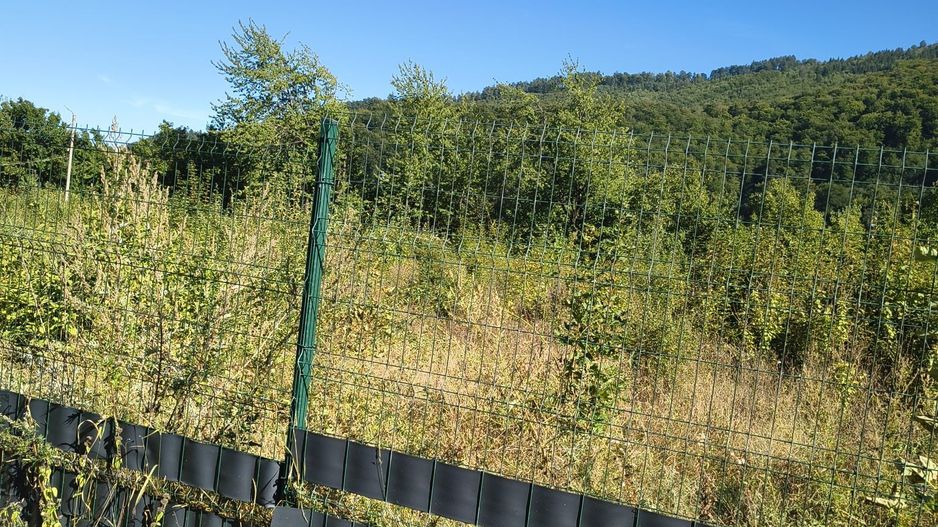 Vand Teren intravilan - Poză 8