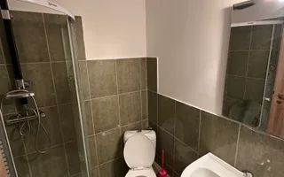 Proprietate cu piscina Dumbravita - Poză 30