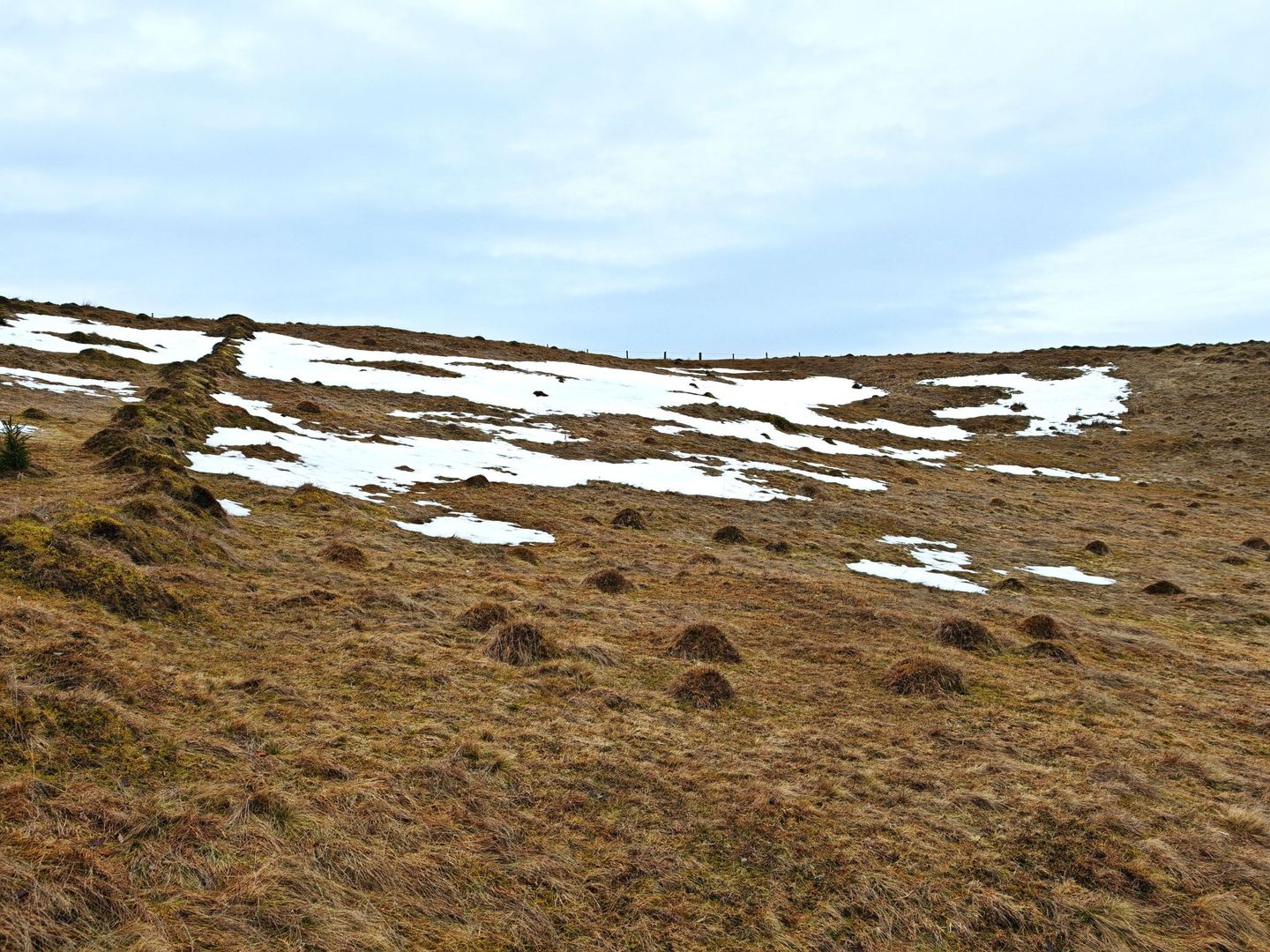 4663mp, in Statiunea Turistica Montana BELIS – FANTANELE, jud. Cluj - Poză 4