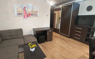 Apartament ARED cu 1 camera, St. O. Iosif, Oradea, 300 euro/luna - Poză 4