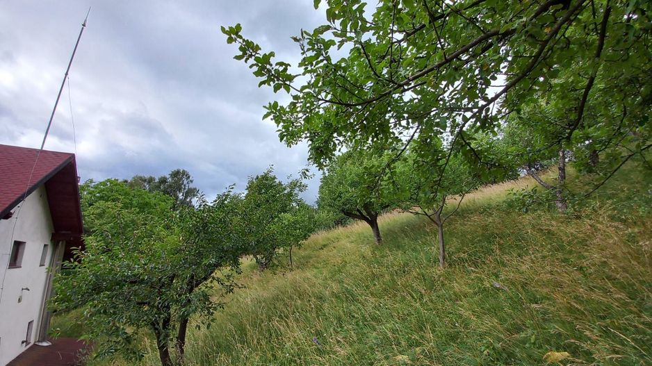 Bran, casa de vacanta + teren , Zona Club Vila Bran - Poză 10