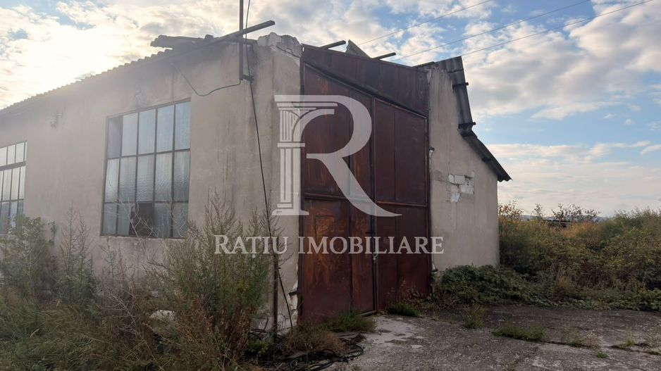 Fermă Sărand | Bihor | 25.659 mp teren intravilan - Poză 7