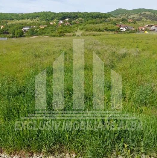 Teren intravilan | De vanzare | 5738 mp | Micesti - Poză 1