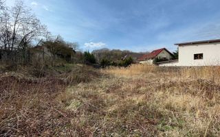 Teren autorizabil Făget - Poză 3