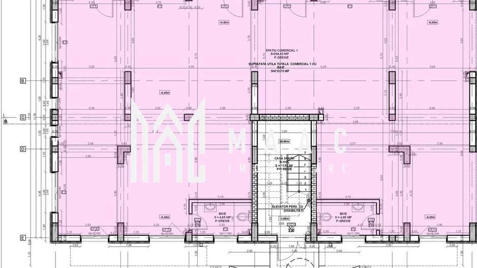 Spatiu Comercial I Open Space I 620mpu I Doamna Stanca - Poză 6