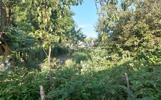 CASĂ 5 CAMERE\ OȚELU-ROȘU\ZONA CIREȘA \ COMISION 0% - Poză 22