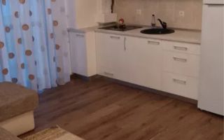 Apartament 2 camere | Etaj 2 | Balcon | Doamna Stanca - Poză 1