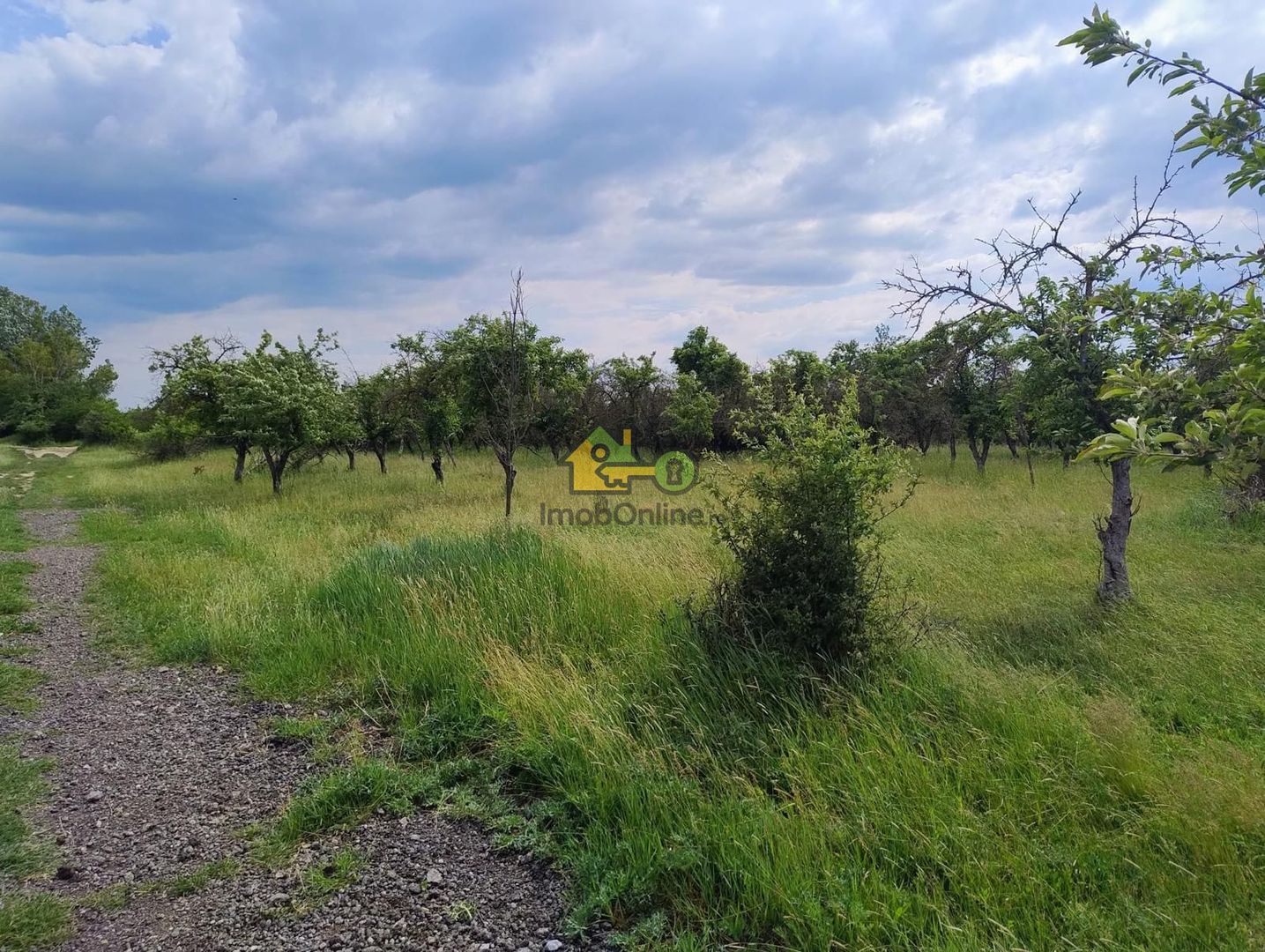 teren intravilan in sag 1271 mp - Poză 5