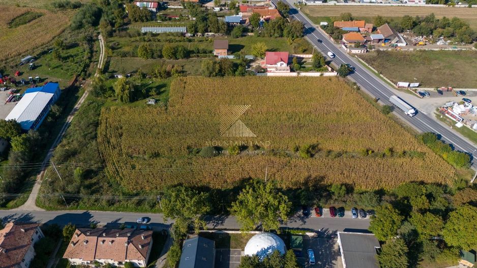 Teren intravilan | 20500 mp | PUZ | multiple destinatii | Stupini - Poză 13