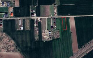 Teren intravilan Caciulati/Moara Vlasiei - Poză 1