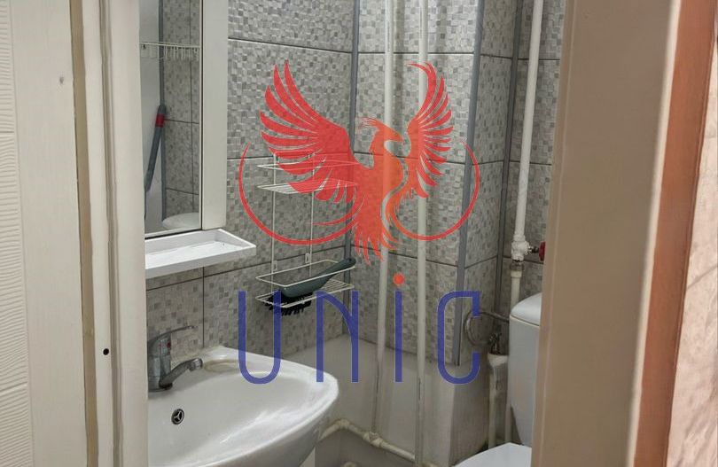 Spatiu comercial - Lapus - Poză 2