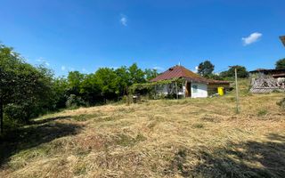 Casă bătrânească cu teren de 3.200 mp în Hertioana de Jos, jud.Bacău - Poză 4