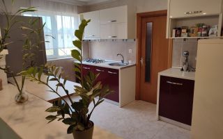 Proprietar vând vila P+E+M - Poză 8