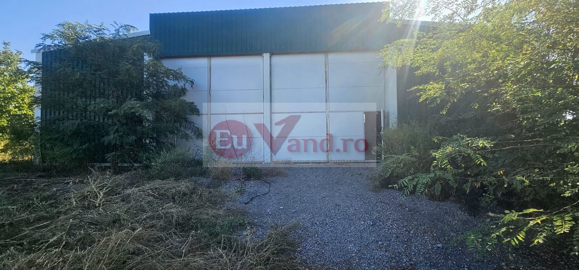 Hala 1.533 mp cu teren 5.000 mp – Vanatori, zona Maylo - Poză 12