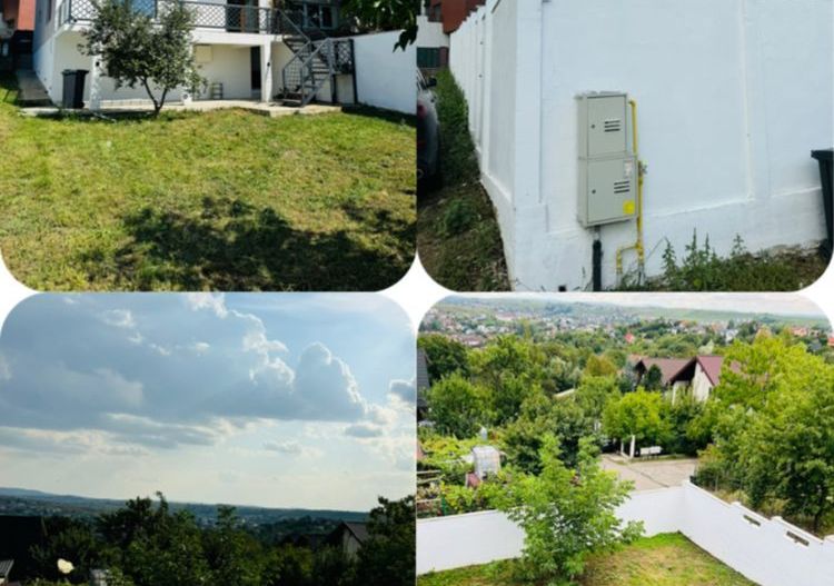 Vila Plopii fara sot, Bucium - Proprietar - Poză 3