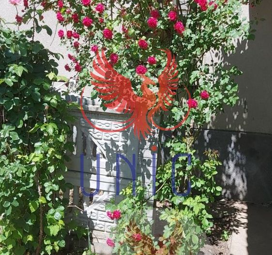 Casa pe parter, Marsani - Poză 7