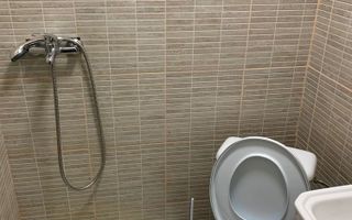 Buziasului | 1 Camera | Renovat - Poză 6