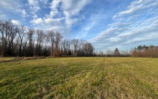 TEREN INTRAVILAN GENEROS | 72 ARI | GALANESTI - Poză 5