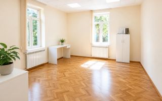 Birouri cu personalitate, curte proprie și parcare – Piața Cipariu - Poză 3