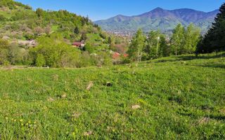 Teren extravilan de vanzare, Bistrita Bargaului- 10 minute de Colibita - Poză 11